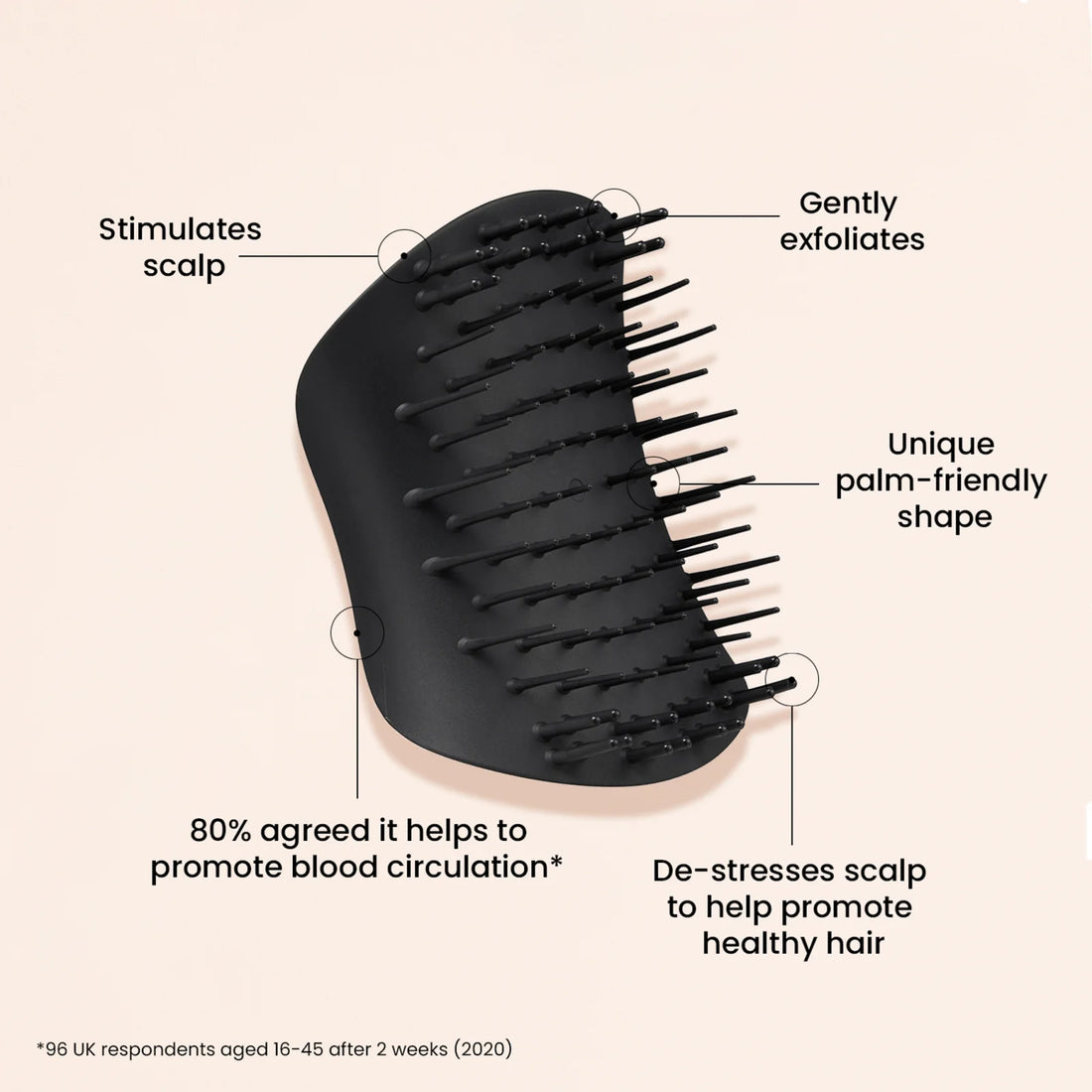 Scalp Brush Black